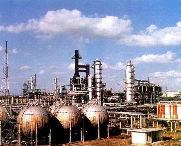 建國后最大間諜案:廣州機(jī)場截獲2只老鼠,體內(nèi)藏絕密情報(bào)?