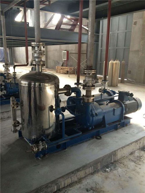 水環真空泵維修與化工設備維護 從惠東案例看專業真空泵廠家的服務價值